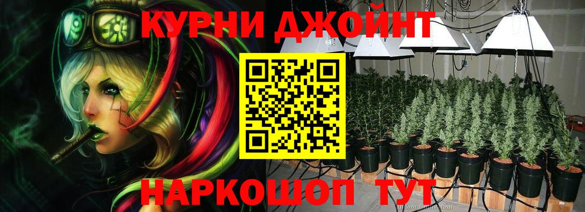 Конопля SATIVA & INDICA  Вход с VPN  Марихуана план  Бошки марихуана ГИДРОПОН  Реж 